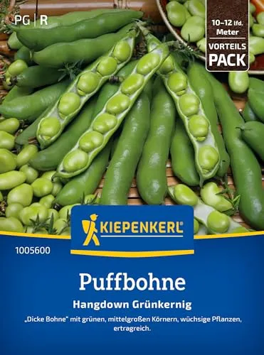 Kiepenkerl Puffbohnensamen Hangdown Grünkernig 1005600 - Große Körner, ideal für Frischverzehr & Einfrieren, grünkernige Bohnensamen, ertragreich