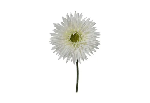 Kunstpflanze CHRYSI, Grün, Weiß, Kunststoff, mit Blüten, Chrysantheme, Kaemingk, Höhe 54 cm