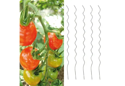 HAC24 Rankhilfe Spiralstab Set, 5 St., Tomatenspiralstäbe 110 cm Tomaten Pflanzstäbe, aus verzinktem Stahl
