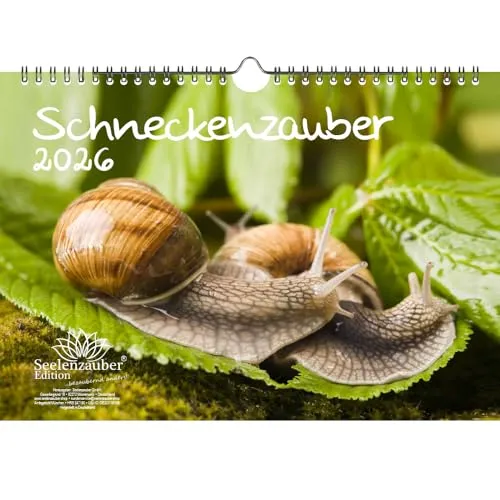 Schneckenzauber DIN A4 Kalender für 2026 Schnecken - Seelenzauber