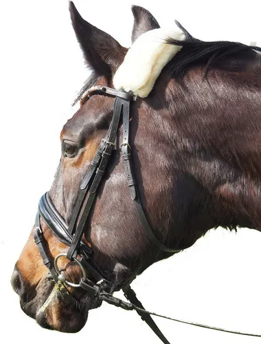 Engel Reitsport Reithalfter Lammfell Halfter Schoner Genickschoner 32cm, Lammfell