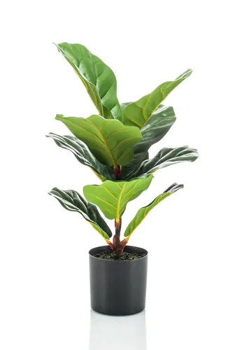 Künstliche Zimmerpflanze Ficus Lyrata Emiliana, 55 cm - Künstliche Ficus (Geigenfeige) für den Innenbereich, 55 cm hoch, pflegeleicht und immergrün. Ideal für eine ansprechende Raumgestaltung ohne Pflegeaufwand.