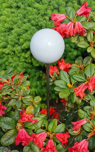 Rosenkugel Edelstahl 10 cm mit Stab 80 cm - Gartenstecker aus poliertem Edelstahl, wetterfest und ideal für Balkon, Blumenbeet oder Veranda. Verleihen Sie Ihrem Garten einen modernen Akzent!