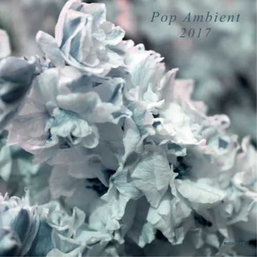 Various Artists Pop Ambient 2017 (CD) Album
