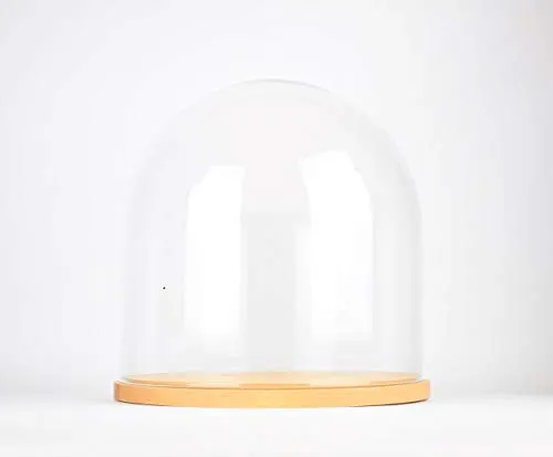 EMH Handgefertigte mundgeblasene klare runde Glasglocke mit Holzsockel, 25 x 25 cm