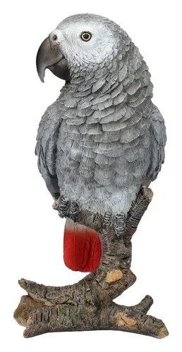 Figuren Shop GmbH Gartenfigur Gartenfigur Papagei - Graupapagei - HotAnt - Dekofigur Gartendeko Deko