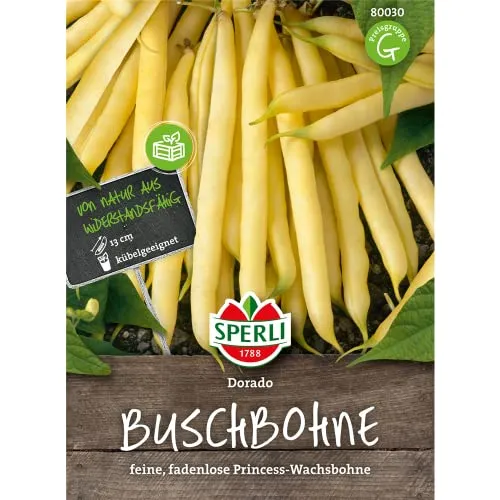 Sperli Buschbohnensamen Dorado 80030 - feine, fadenlose Prinzess-Wachsbohne - Inhalt für 4-5 lfd. Meter - 13cm Fruchtlänge - Samen Gemüse, Gemüsesamen