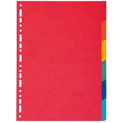 Exacompta Register aus Manila Karton 220g/qm, 6 Positionen, für Format DIN A4