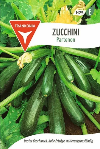 FRANKONIA Gemüsesamen Zucchini, Partenon F1 - Saatgut Zucchini-Samen Samen, Cucurbita pepo