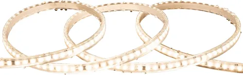 LED-Streifen Dimmbar 220V SMD Selbstgleichrichtend 120 LED/m 10W/m 1000lm/m Breite 12mm Schnitt 10cm IP65 nach Maß 4000K Neutralweiß 5 m