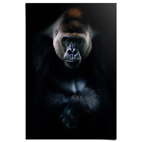 REINDERS Poster, Gorilla, Schlafzimmer, Poster, Wanddeko, Room Decor, 150 gr. glänzend Bilderdruckpapier, Schwarz, 91,5x61cm
