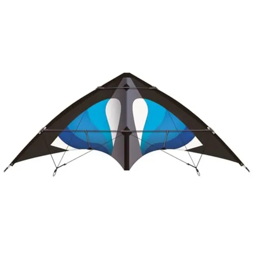 Drachen Blau von Günther