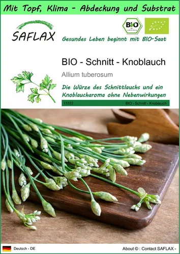 SAFLAX Kräutersamen SAFLAX - Garden to go - BIO - Schnitt - Knoblauch