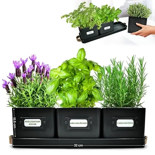 Green Thumbz Kräutertopf & Blumentopf Set (3 STK.) - Stylisches Set für die Fensterbank mit Ledergriffen und Untersetzern – perfekt für Kräuter und Blumen in der Küche oder im Innenbereich.