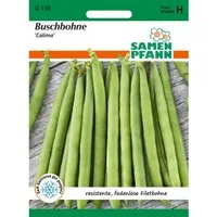SAMEN PFANN Buschbohne Calima Filetbohne