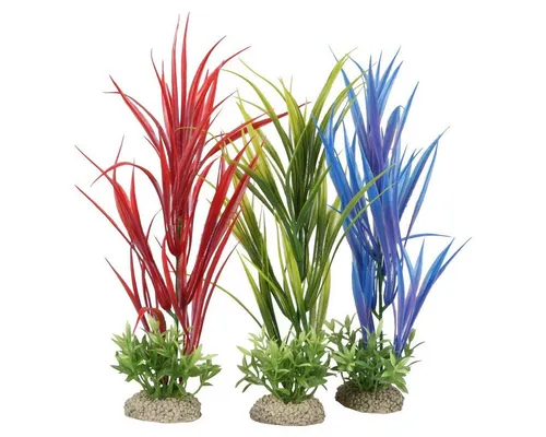 Europet-Bernina Aquariendeko Aquariumpflanze Amazonenschwert