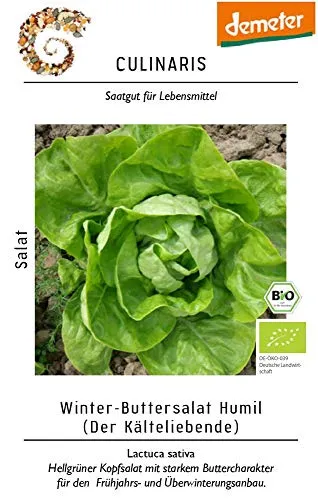 Culinaris 044 Wintersalat Humil (Bio-Wintersalatsamen)