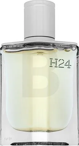 Hermès H24 Eau De Parfum Spray 50ml - Herrendüfte – Eleganter, nachfüllbarer Duft mit frischen floralen und holzigen Noten, perfekt für den modernen Mann und umweltbewusste Verbraucher.
