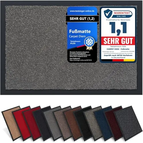 Carpet Diem Fußmatte, einfach sauber I Schmutzfangmatte Eingangsbereich - Fussmatte Innen & Außen, rutschfeste Türmatte, Schmutzfang Teppich für Haustür I Fußabtreter in Grau 40x60 cm