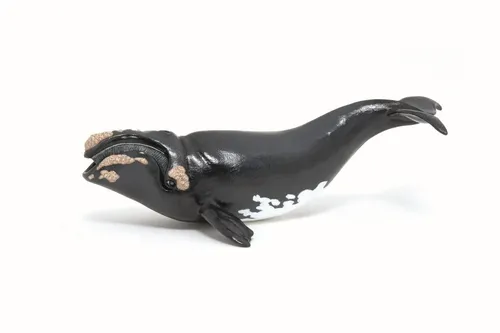 Papo Glattwal Neuheit 2023 56057