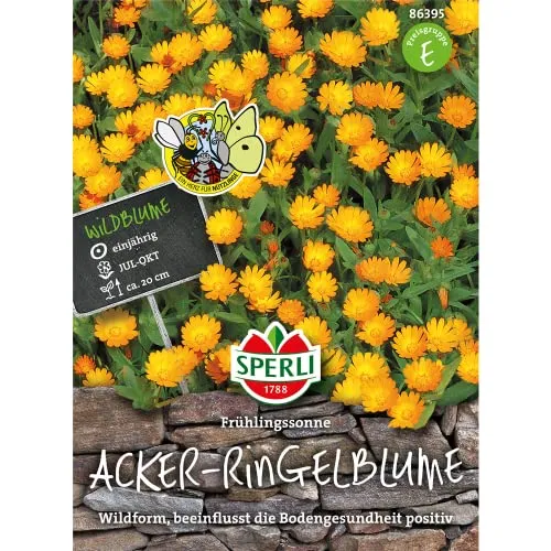 Sperli-Samen Acker-Ringelblumen Frühlingssonne