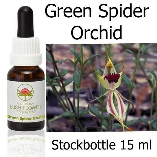 GREEN SPIDER ORCHID Australian Bush Flower Essences Australische Buschblüten