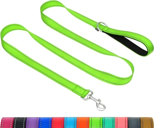 Taglory Hundeleine mit gepolsterter Handschlaufe, Reflektierende Führleine für kleine, mittlere und große Hunde sowie Welpen, Aus reißfestem Nylon für tägliche Spaziergänge, Grün