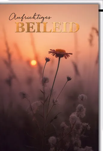 Trauer - Beileid - Kondolenzkarte mit Umschlag - Aufrichtiges Beileid, Sonnenunt