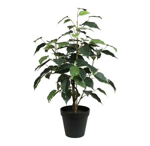 Kunstpflanze Ficus Benjamini im Topf LA Kunstbaum künstliche Pflanzen Birkenfeige, Seidenblumen Roß, Höhe 48 cm