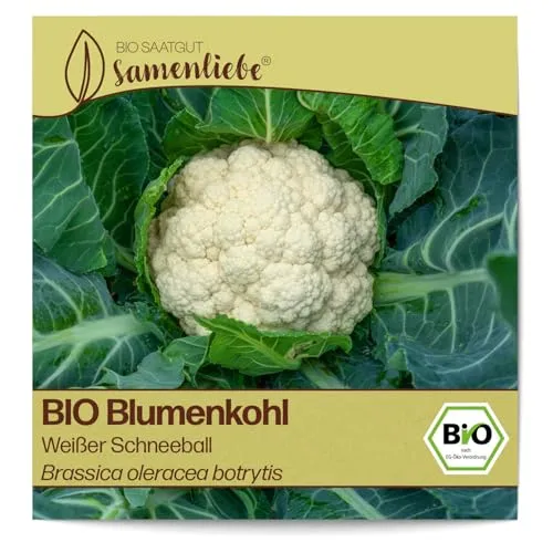 Samenliebe BIO Blumenkohl Samen alte Sorte Weißer Schneeball Winterblumenkohl weiß 200 Samen samenfestes Gemüse Saatgut für Gewächshaus Freiland und Balkon BIO Gemüsesamen