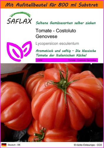 SAFLAX Gemüsesamen SAFLAX - Garden in the bag - Tomate - Costoluto Genovese