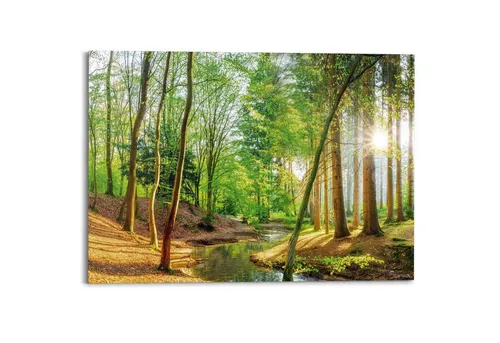 Reinders! Deco-Panel Sonniger Wald, Hobbyraum in grün von Reinders!