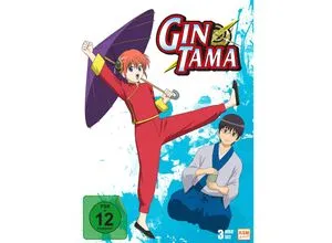 Gintama, Vol. 2 Episode 14-24 (3 Discs) - Anime-Serie mit den aufregendsten Abenteuern von Gintoki, Shinpachi und Kagura. Erlebe skurrile Geschichten und unvergessliche Charaktere in dieser unterhaltsamen Sammlung.
