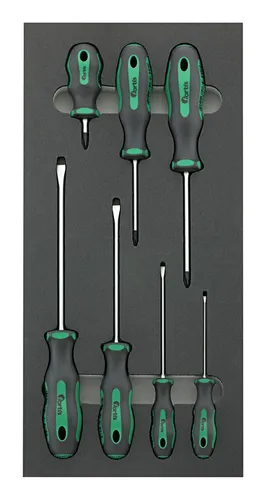 Fortis Werkzeugmodul 1/3 Schraubendreher Schlitz PH von Fortis