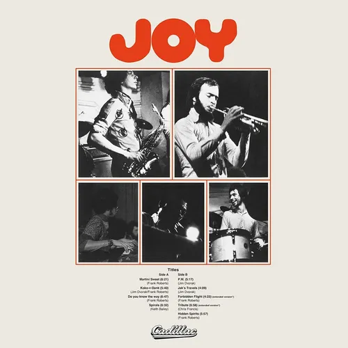 Joy Joy (Vinyl) 12