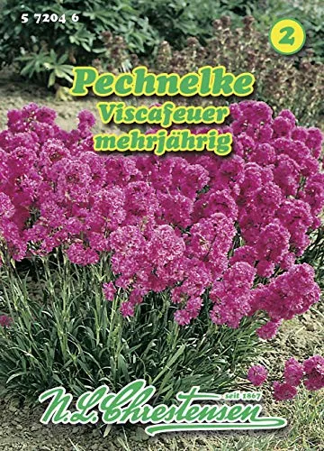 N.L. Chrestensen 572046 Pechnelke Viscafeuer (Pechnelkensamen)