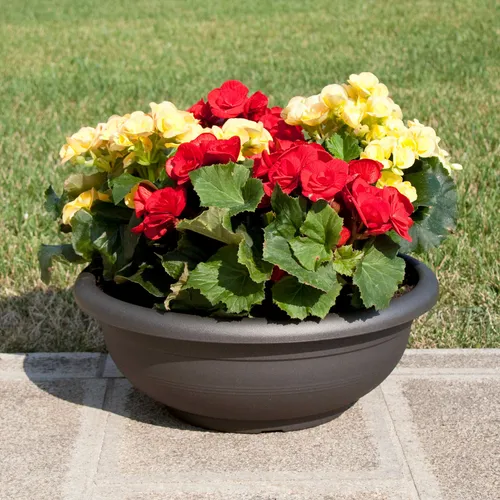 Blumenschale 35 cm Ø Farbe Anthrazit Schale Pflanzschale Blumentopf Kübel Topf