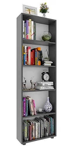 VCM Bulas Holz Büro Regal 5f - Regal mit 4 stabilen Fachböden für Bücher und Akten, zeitloses Design, ideal für Büro und Home Office. Maße: H. 169 x B. 56 x T. 20 cm.