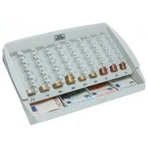 Burg-Wächter Euro-Geldzähleinsatz ZE 300 - Praktischer Geldzähleinsatz für Banknoten und Münzen mit 5 Fächern für Geldscheine und 9 Münzfächern. Ideal für den Einsatz in Schubladen oder Geldkassetten, gefertigt aus hochwertigem Kunststoff.