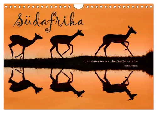 SÜDAFRIKA - Impressionen von der Garden Route (Wandkalender 2026 DIN A4 quer), C