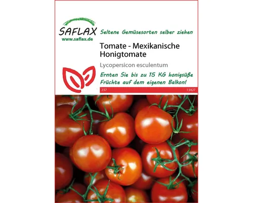 SAFLAX Gemüsesamen Saflax 13427 Mexikanische Honigtomate (Honigtomatensamen)