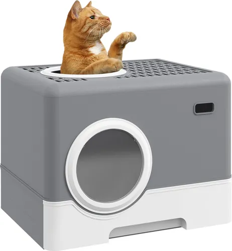 PawHut Katzentoilette mit Schaufel und 2 Ausgängen - Katzentoilette für Katzen bis 4 kg, aus hochwertigem Kunststoff, mit praktischer Schaufel und 2 Ausgängen für einfachen Zugang und Reinigung.