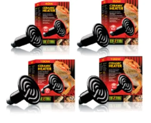 Exo Terra Wärmestrahler 40 Watt PT2044 - Tageslicht Wärmestrahler, ideal für die Reptilienhaltung, sorgt für optimale Wärme und Lichtverhältnisse für deine Tiere.