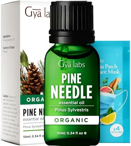Gya Labs Ätherisches Kiefernöl für Diffuser – 100% reines ätherisches Kiefernöl in therapeutischer Qualität – Unverdünntes ätherisches Kiefernöl für die Kerzenherstellung (10 ml)