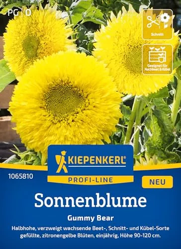 Kiepenkerl Profi-Line Sonnenblumensamen Gummy Bear 1065810 - Zitronengelbe Blütenpracht für Garten & Kübel - Wildblumensamen, Blumenwiese, Saatgut