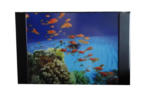 Schreibtischunterlage 68x44cm / mit Fische von Livepac-Office