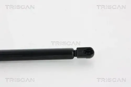 Triscan Gasfeder, Koffer-/Laderaum 8710 66207