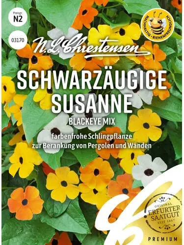 Produktbild Schwarzäugige Susanne Blackeye Mix