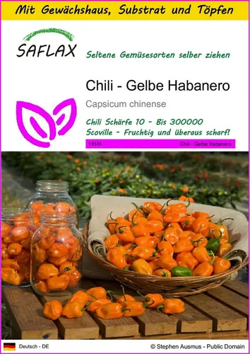 SAFLAX Gemüsesamen SAFLAX - Anzuchtset - Chili - Gelbe Habanero