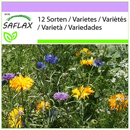 SAFLAX - Wildblumen: Essbare Blüten - 1000 Samen - 12 Wildflower Mix